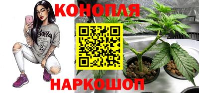 скорость Ачхой-Мартан