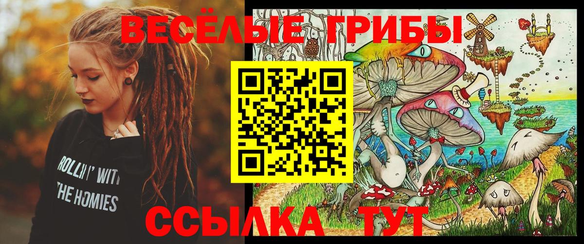 Псилоцибиновые грибы Psilocybe Звенигород