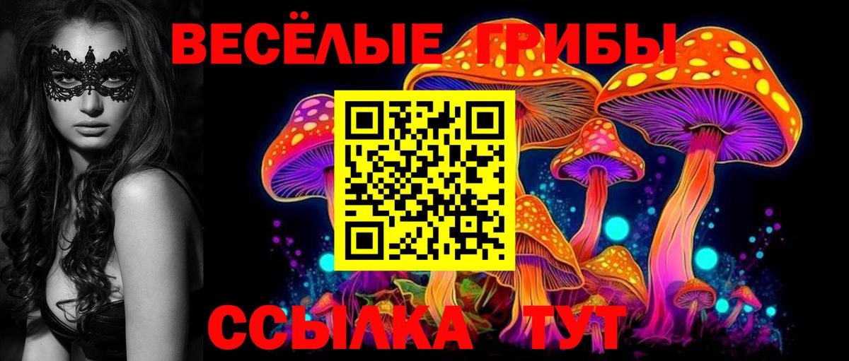 Звенигород  Галлюциногенные грибы ЛСД  Псилоцибиновые грибы Psilocybe  Вход с VPN 
